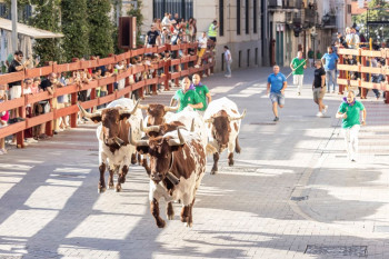 PRIMER ENCIERRO. Rápido y sin incidentes. La Plaza de Toros, semivacía