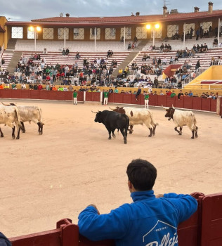 SEGUNDO ENCIERRO. Accidentado. Varias cogidas y un herido por caída. La Plaza de Toros, de nuevo, a medio gas