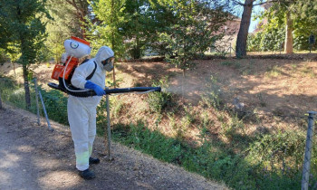 Cabanillas refuerza el control de mosquitos con tratamientos extraordinarios 