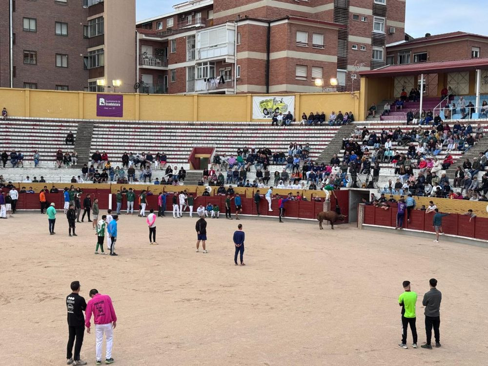 Este es el aspecto que lucía, por segundo día, la Plaza de Toros//Imagen: El Decano