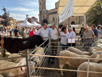 La Feria Ganadera de Molina presentará una nueva marca local de carne extensiva