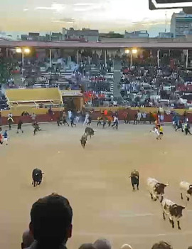 TERCER ENCIERRO. Sin incidentes. Más ambiente en la Plaza tras el cambio de sistema de entrada