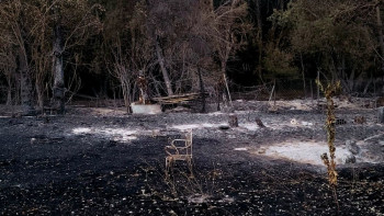 Muriel planta cara a la desolación y se tiñe de verde para recuperar el pueblo