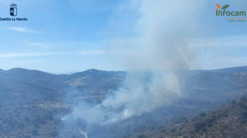 Incendio en El Cardoso de la Sierra