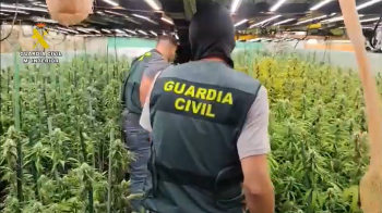 Desarticulado un grupo criminal que cultivaba cannabis en chalés de Madrid y Guadalajara 