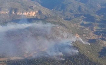 Estabilizado el incendio en Ocentejo