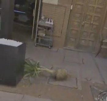 Altercado en el Paseo de San Roque: Tira una maceta mientras increpa a los viandantes