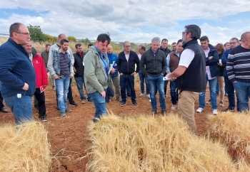 El Centro de Investigación Apícola y Agroambiental muestra los resultados de sus campos de ensayos de cultivos extensivos