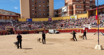 Las distintas unidades de la Policía Nacional en Guadalajara salen por la puerta grande tras una espectacular exhibición en el Coso de las Cruces