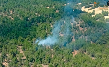 Controlado el incendio forestal en Armallones