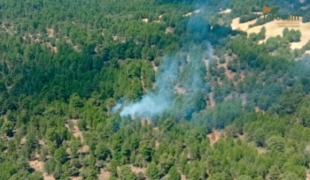 Extinguido el incendio declarado esta tarde en Armallones