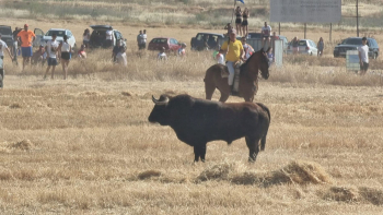 El encierro de Brihuega marca el inicio de la 'temporada alta' para los aficionados taurinos de la provincia