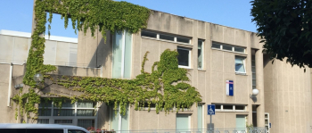 Los mayores de la región apuestan por un envejecimiento saludable, autónomo y activo