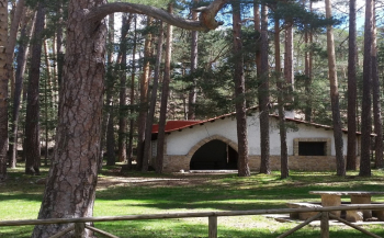 Una mujer de 27 años sufre un accidente laboral en Orea