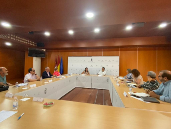 La Mesa del Tercer Sector se reúne con Bienestar Social para trazar las principales líneas de trabajo de esta legislatura en Castilla-La Mancha