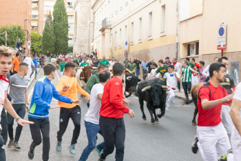 Cita con el primer encierro de las Ferias, mañana jueves