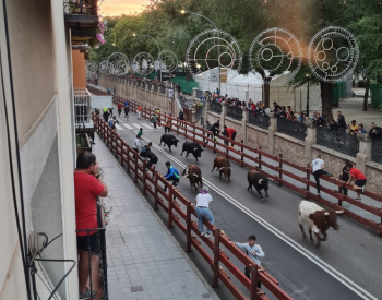 Primer encierro de Ferias: rápido y sin incidentes