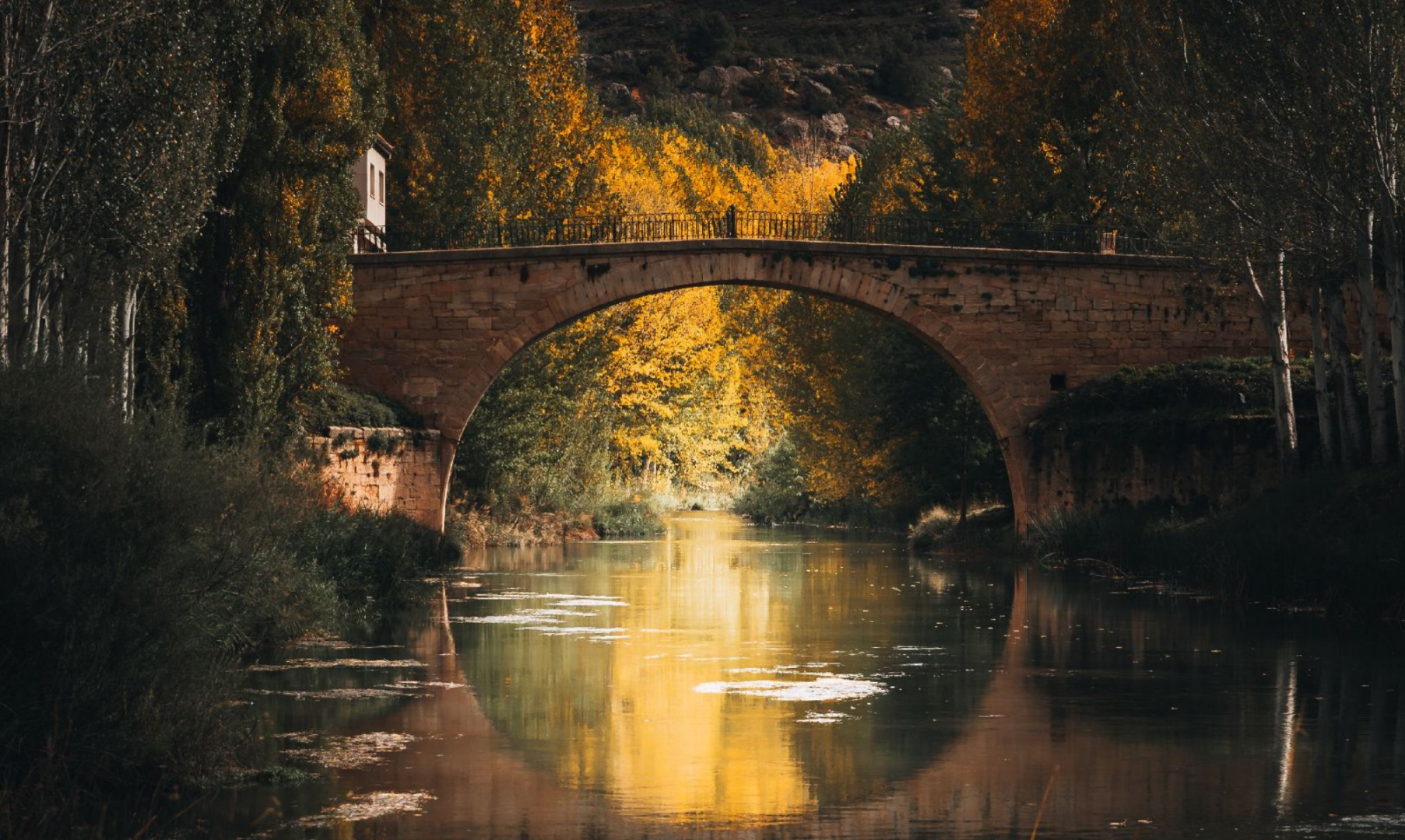Foto: Foto ganadora del certamen en la pasada edición