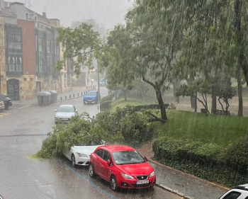 El temporal de viento y lluvia deja más de un centenar de avisos al 112, principalmente por obstáculos en la calzada