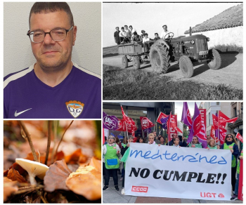 Las diez noticias más leídas en El Decano en el mes de octubre