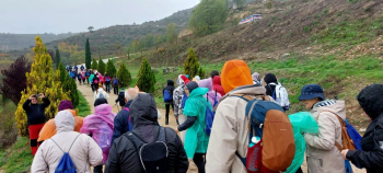 Unas 200 personas participan en Brihuega en la ruta saludable del programa ‘7000PasosX’