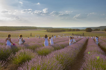 El Ayuntamiento de Brihuega muestra su "rotunda oposición" a la instalación de una planta de biogás 