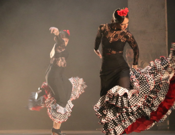 La gala de Manos Unidas con “Lorca es Flamenco” puso al Buero Vallejo en pie