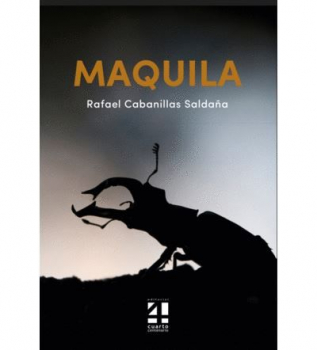 Literatura, memoria y ética