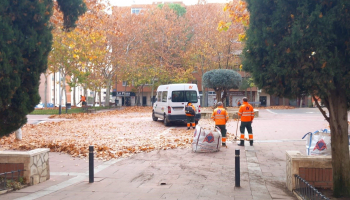 Ya se pueden presentar las solicitudes para el Plan de Empleo de la Junta en la capital