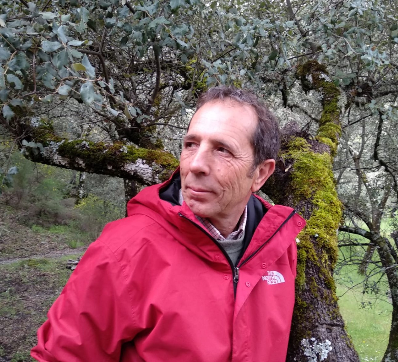 Imagen: Rafael Cabanillas, autor de 'Quercus'