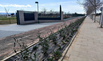El Ayuntamiento de Cabanillas mejora la seguridad vial en el entorno del parque Elena de la Cruz