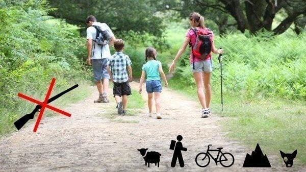 Ecologistas en Acción inicia una campaña para paralizar la norma que permitirá cazar en caminos públicos y vías pecuarias de CLM