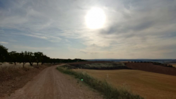 CCOO recuerda que el sector agrario de Guadalajara tiene el convenio caducado desde 2020 y recoge un salario bruto anual de unos 13.800 euros, por debajo del SMI