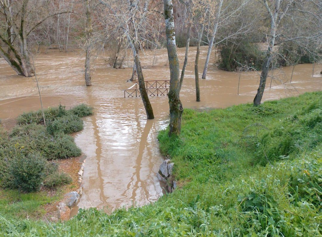 Las lluvias y un desembalse de Beleña han provocado la crecida, que está controlada//Imagen: Ayto. Guadalajara X. 