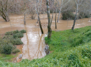 Cortados los accesos peatonales al Henares por la fuerte crecida del río