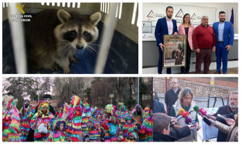 Las diez noticias más leídas en El Decano en el mes de febrero