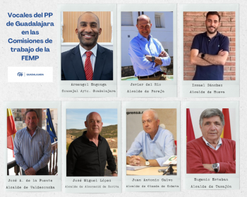 Siete representantes del PP de Guadalajara forman parte de diferentes comisiones de trabajo de la FEMP 