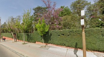 Dalma denuncia: “La ciudad de Guadalajara vive de espaldas a su biodiversidad”