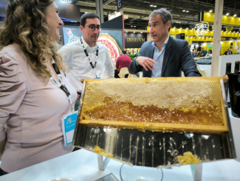 La marca "Alimentos de Guadalajara" cobra protagonismo en la 37 edición del Salón Gourmets