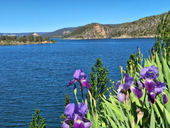 Los pantanos de la cabecera del Tajo parecen abandonar la tendencia alcista del comienzo de la primavera