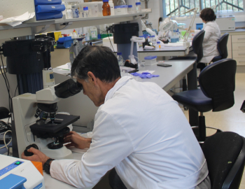 El IRIAF prioriza en sus investigaciones buscar soluciones a los efectos del cambio climático en los sistemas de producción agroalimentaria y forestal 