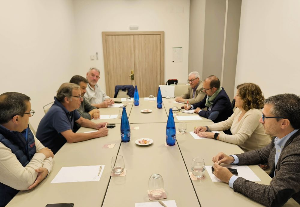 Uno de las reuniones de la comisión, en este caso con el presidente de las Cortes, Pablo Bellido.