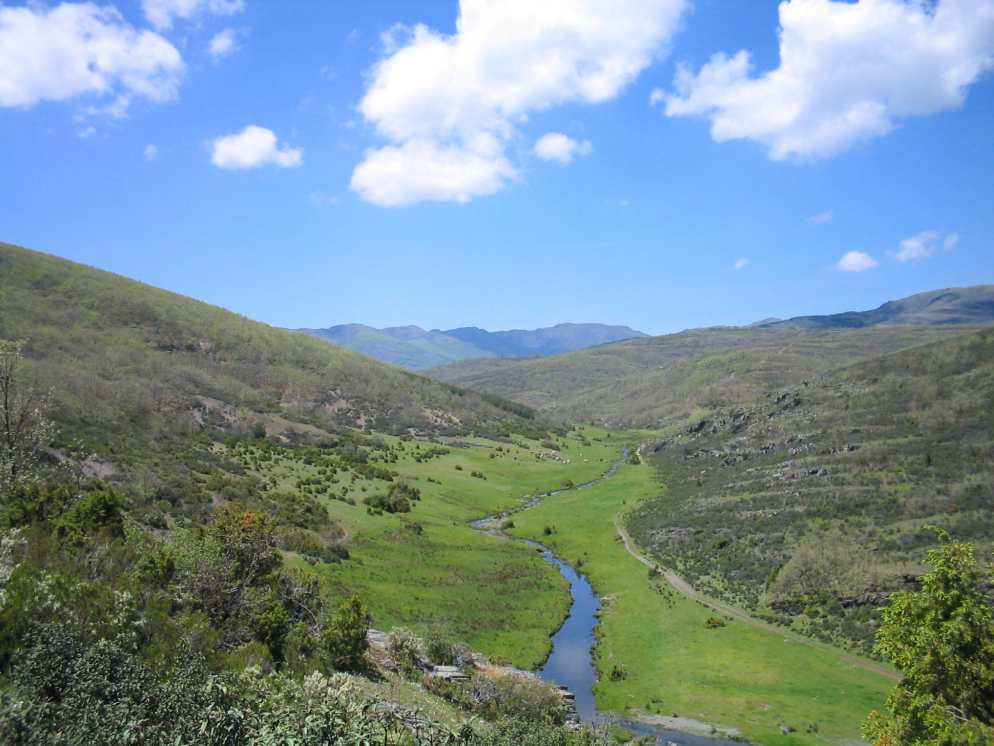 Sierra Norte de Guadalajara//Imagen: Áreas Protegidas de Castilla-La Mancha.