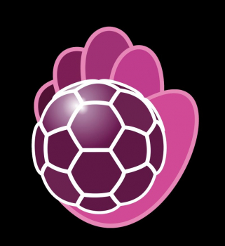 El Balonmano Guadalajara pide ayuda para no tener que renunciar a la Liga ASOBAL