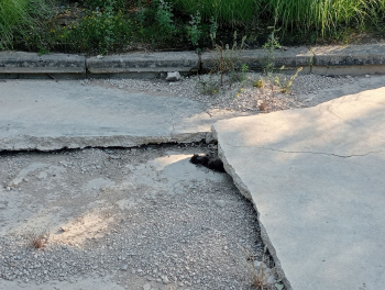 LOS VECINOS DENUNCIAN. Suciedad en el Barranco del Alamín