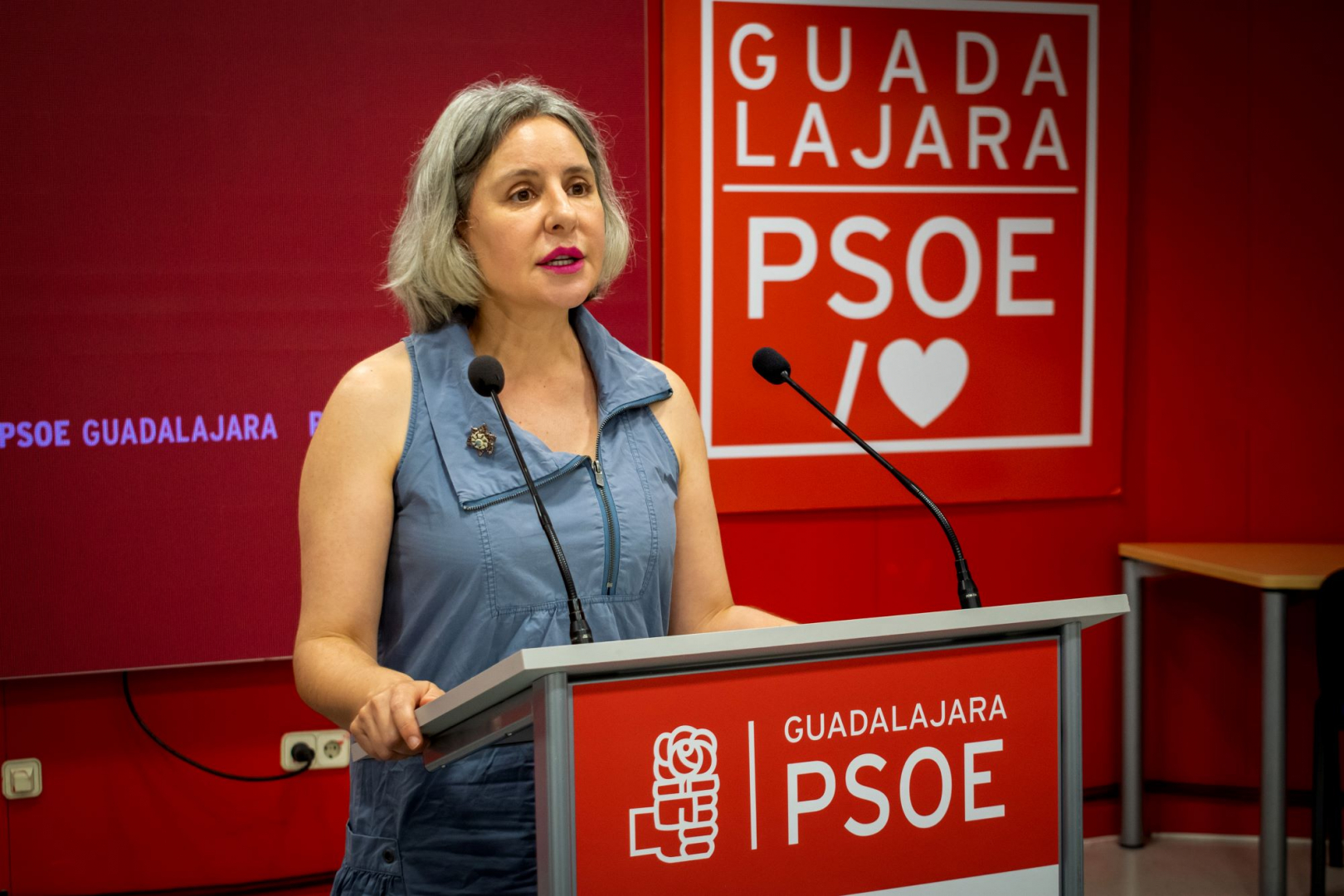 Araceli Martínez, senadora del PSOE por Guadalajara//Imagen: PSOE Guadalajara.