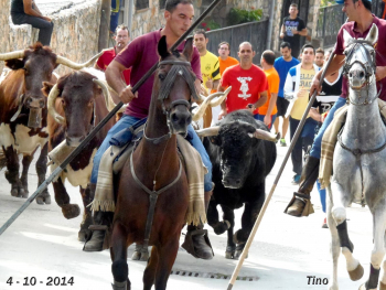 Los taurinos calientan motores a las puertas de la temporada alta de festejos populares