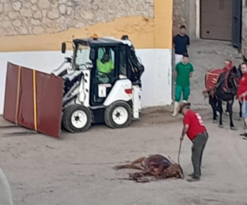 Archivada la querella interpuesta por PACMA contra la Escuela Taurina de Guadalajara por la celebración de una clase práctica en Pastrana