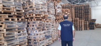 Castilla-La Mancha, una de las ocho regiones donde la Agencia Tributaria lleva a cabo una operación contra fraude fiscal en la compra-venta de palés