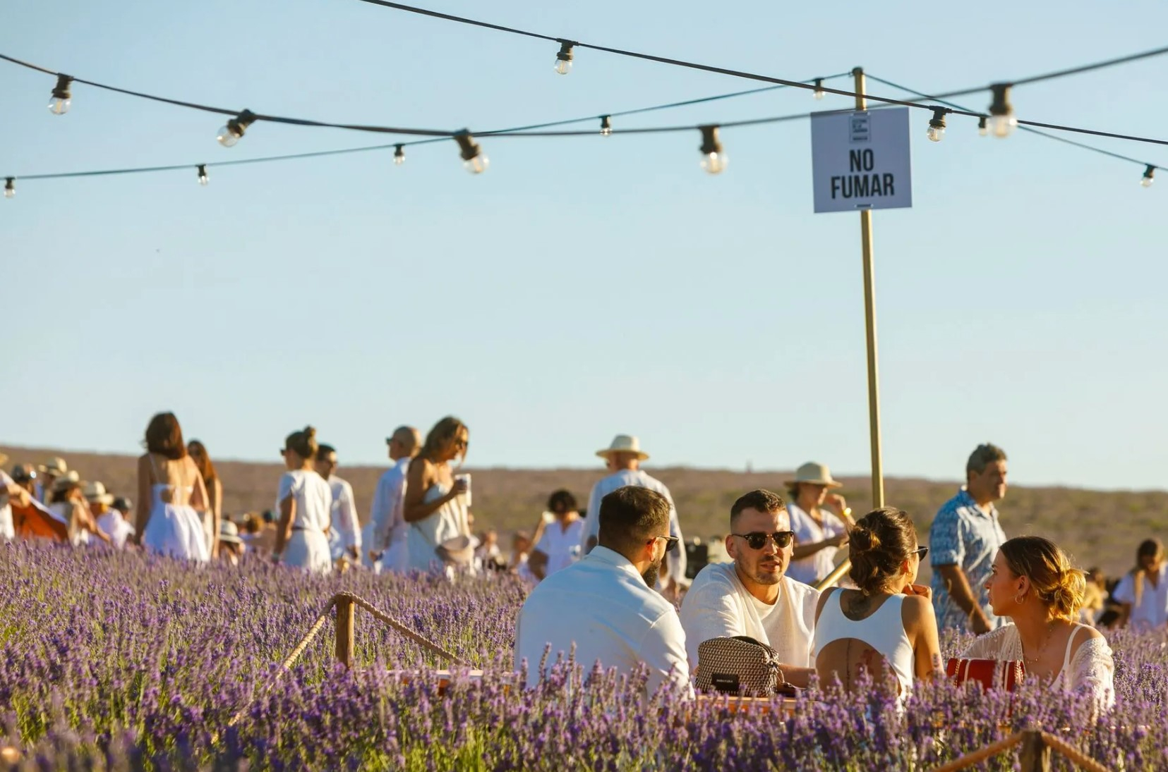 Foto: Festival de la Lavanda
